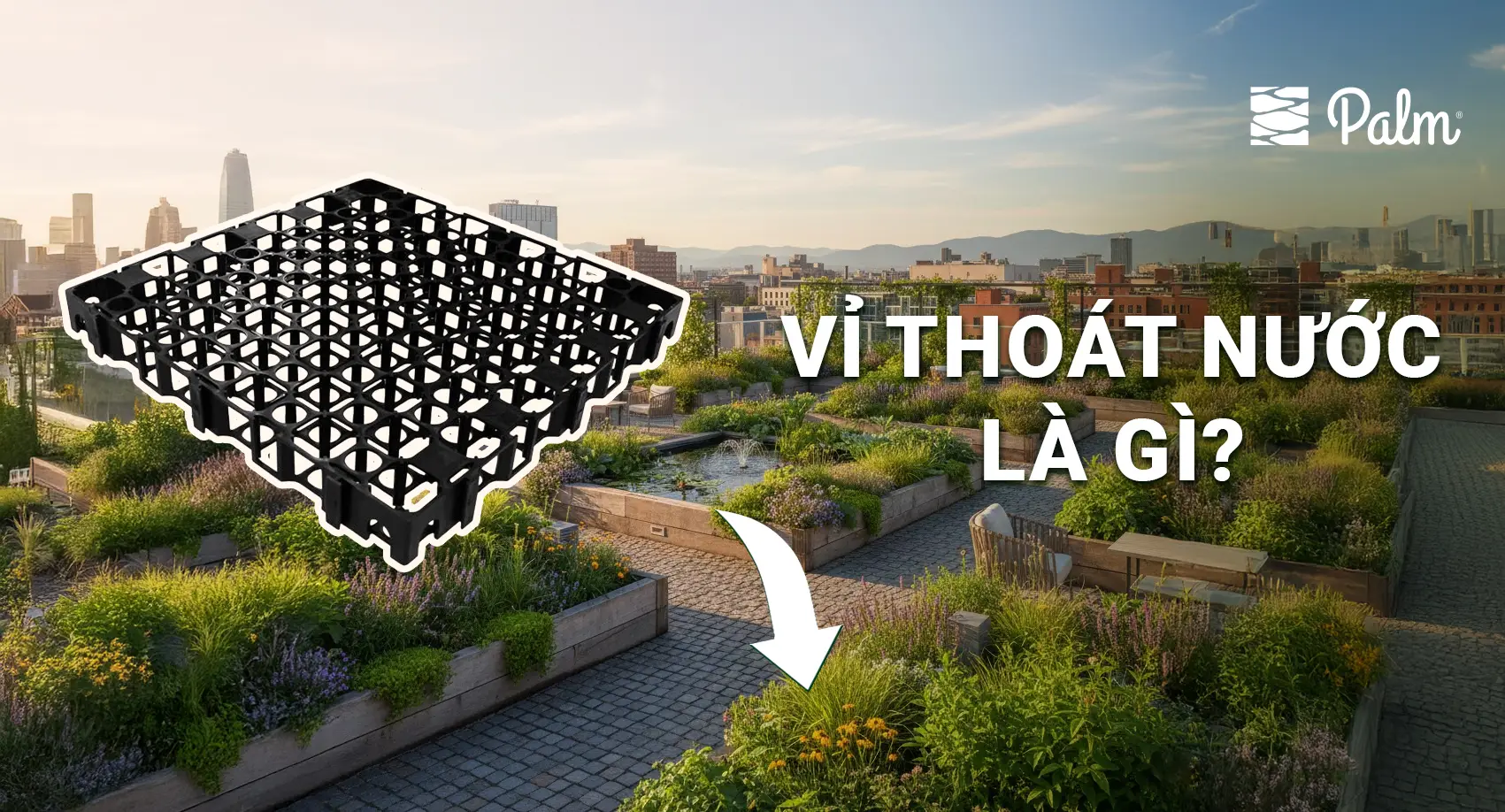 Vỉ thoát nước là gì? Phân loại và công dụng của Vỉ thoát nước